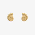 Seashell Stud Earrings
